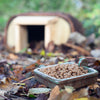 Hedgehog feeding bowl