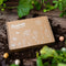 Blossombs - Giftbox small