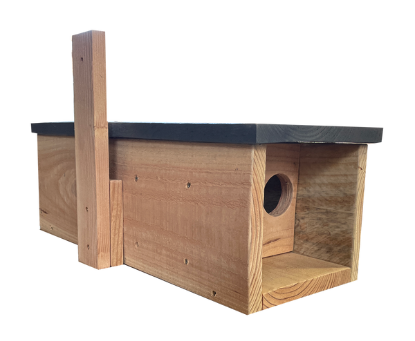 Little owl box 