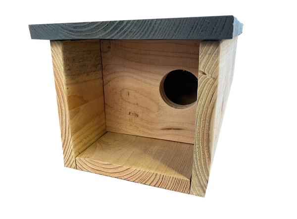 Little owl box 