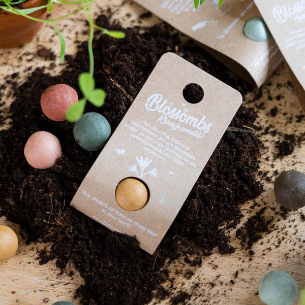 Blossombs - blister 1