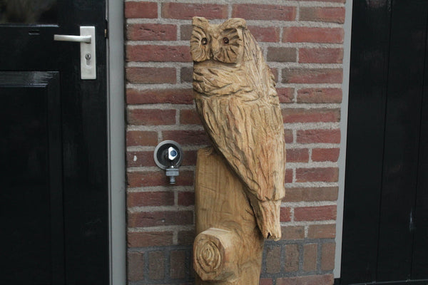 Wooden sculpture owl on trunk