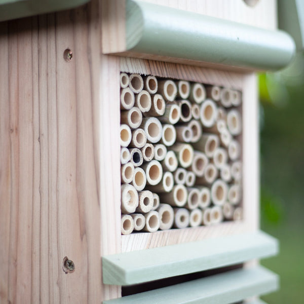 Insektenstudienzentrum