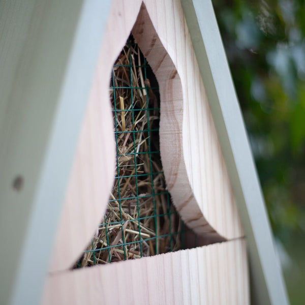Insektenstudienzentrum