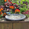 Aristoteles Oasis Vogelbad