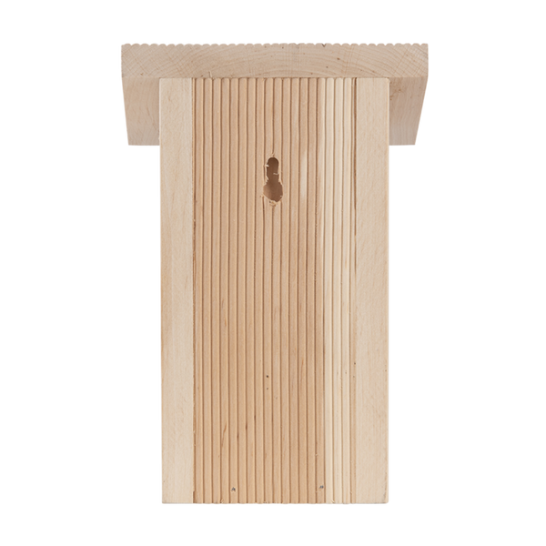 Wren nest box