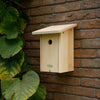 Great tit nest box