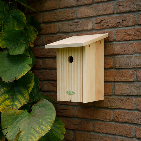 Great tit nest box
