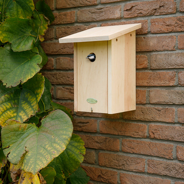 Great tit nest box