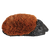 Fußabstreifer Igel S