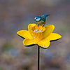 Narcissus Bird Feeder 