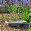 Aristotle Oasis vogelbad