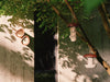 elho b's organic collectie vogelproducten