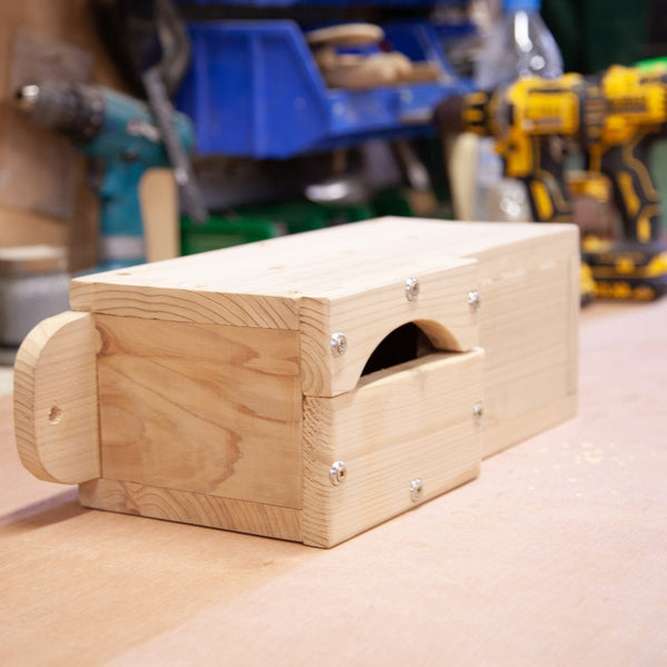 Swift nest box