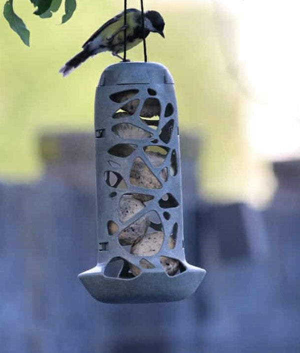 SingingFriend - Tara