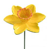 Narcissus Bird Feeder 