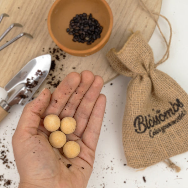 Gift Box Small "Hoera!" met 7 Zonnebloem Mix Zaadbommetjes