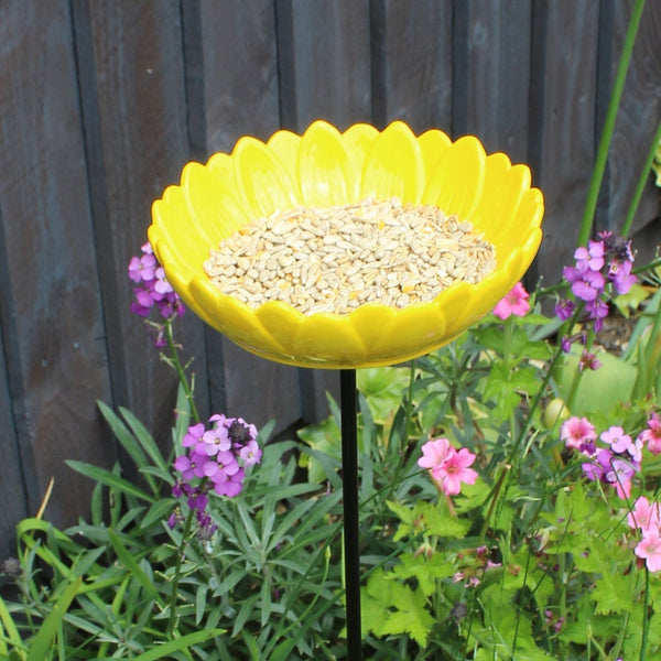 Zonnebloem Vogelvoeder