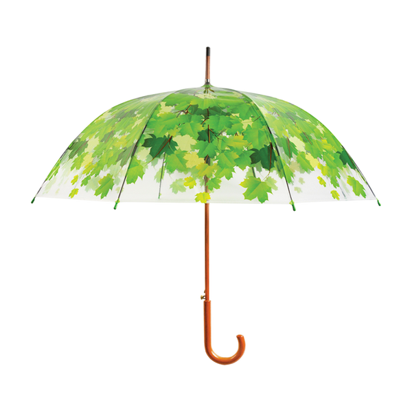 Schirmbaumkrone