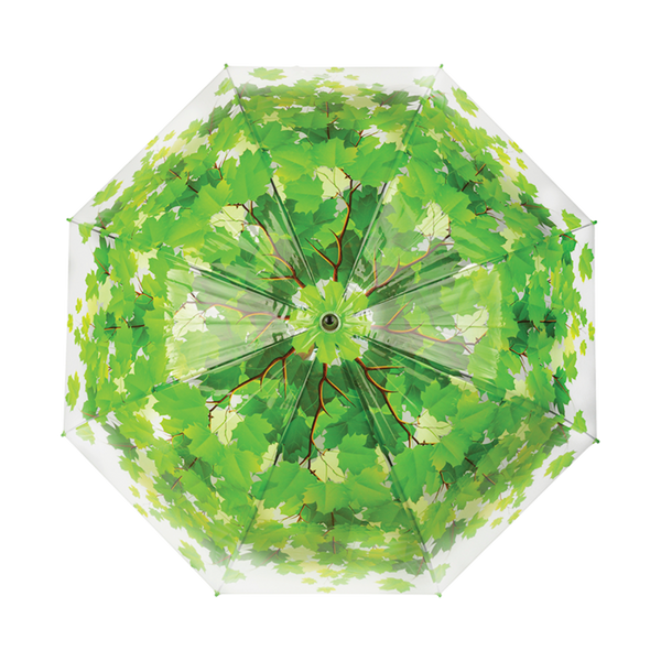 Schirmbaumkrone