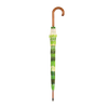 Schirmbaumkrone