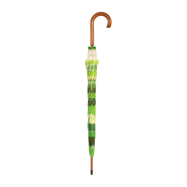 Schirmbaumkrone