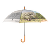 4-Jahreszeiten-Regenschirm