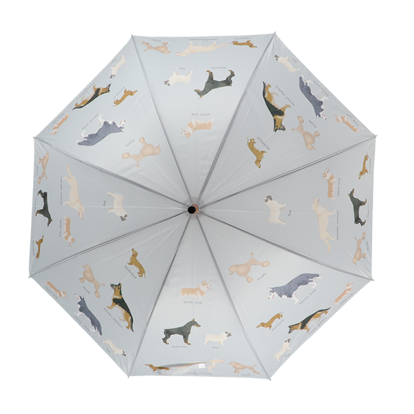 Umbrella dog breeds