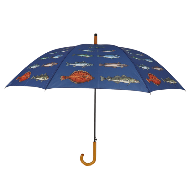 Umbrella fish species
