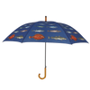 Schirmfischarten