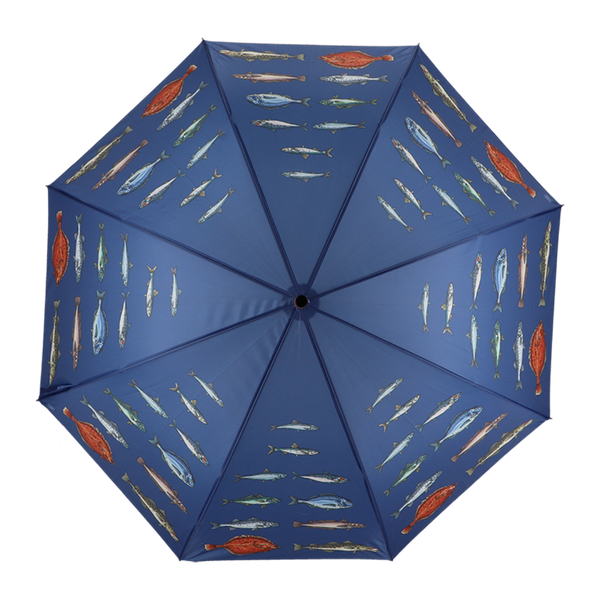 Umbrella fish species