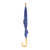 Schirmfischarten