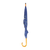 Schirmfischarten
