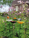 Narcissus Bird Feeder 