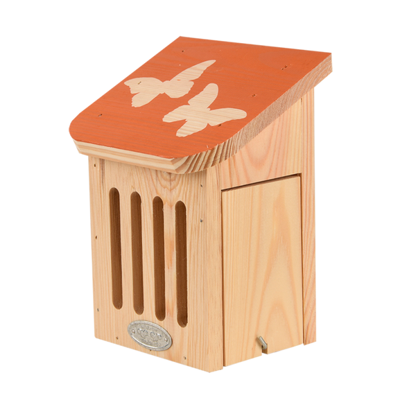 Schiebe-Schmetterlingsbox