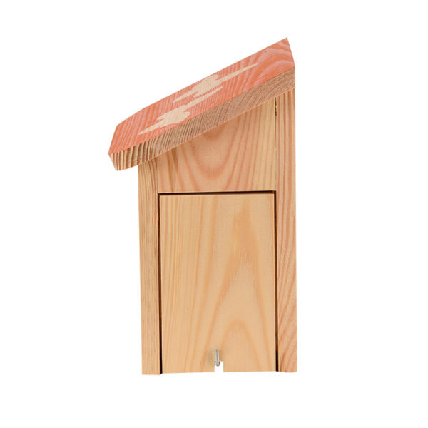 Schiebe-Schmetterlingsbox