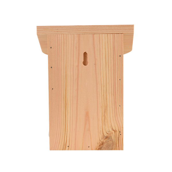 Schiebe-Schmetterlingsbox