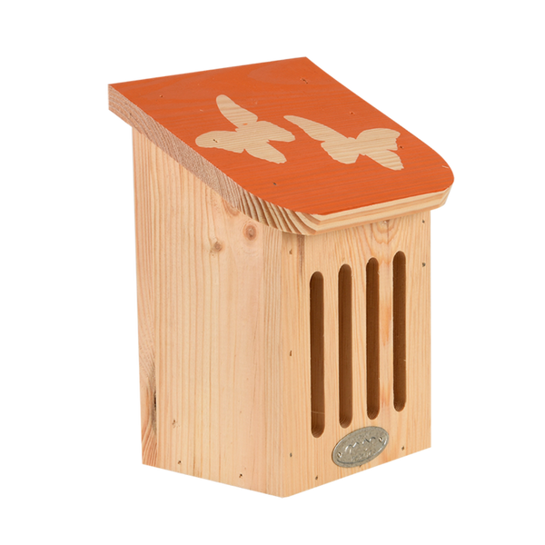 Schiebe-Schmetterlingsbox