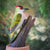 Houten Vogelbeeldje Groene Specht - Handgesneden op Ware Grootte | DecoBird