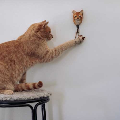 Wildlife Garden - Cat clothes hook 