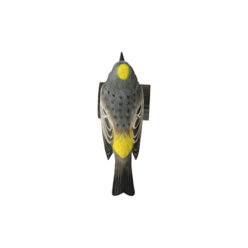 DecoBird Yellow-rumped Warbler