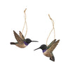 DecoBird Zwartkinkolibrie