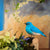 DecoBird Berghüttensänger – handgeschnitzter Holzvogel 14 cm