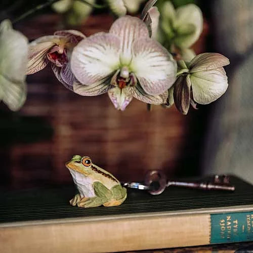 Frog keychain
