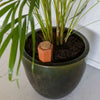 Esschert Design Bewateringstuit L – Terracotta irrigatie tuit 7,1 × 6,4 × 32 cm (0,575 L)
