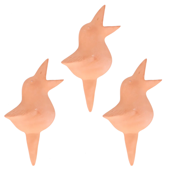 Set van 3 terracotta bewateringshulpjes vogel