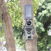 Wildlife camera solar panel 