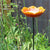Wild Poppy Rode Vogelvoeder