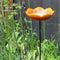 Wild Poppy Rode Vogelvoeder