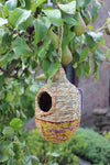 Birdhouse Shesali